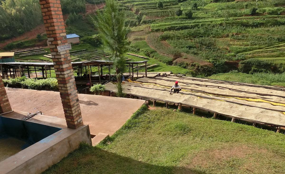 RWANDA Remera CWS (150g~/1P)