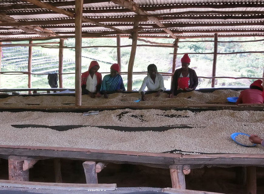 RWANDA Remera CWS (150g~/1P)