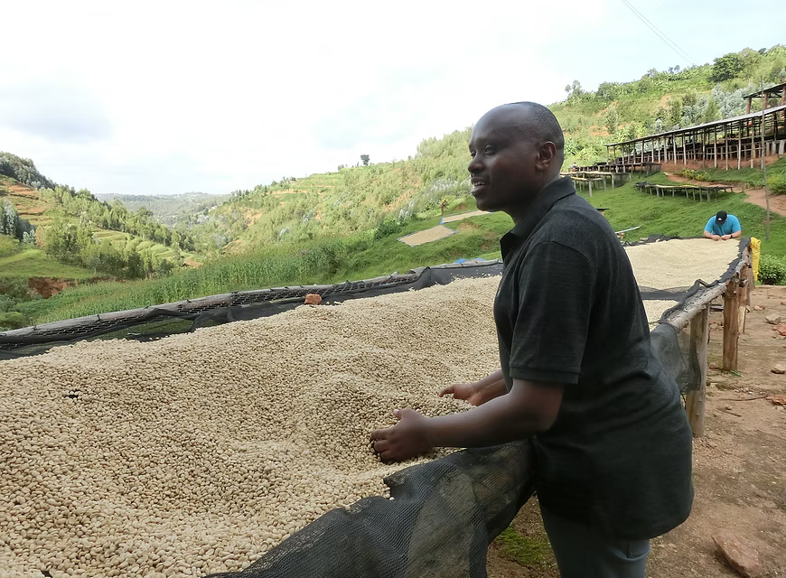RWANDA Remera CWS (150g~/1P)