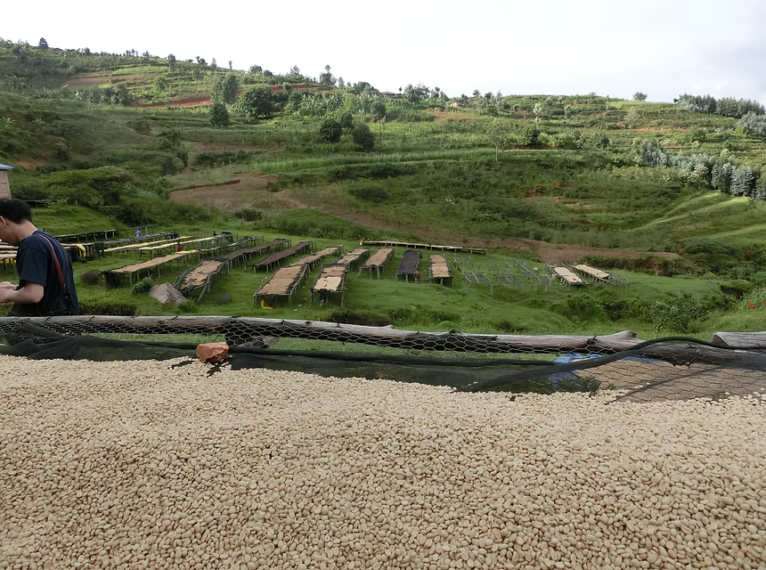 RWANDA Remera CWS (150g~/1P)