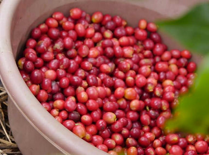 RWANDA - Karisimbi Mountain Coffee (150g/1P)