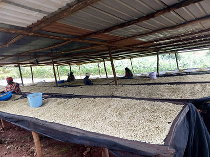 RWANDA - Karisimbi Mountain Coffee (150g/1P)