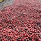 ETIOPIA Gotitit Natural  (150g/1P)