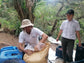 GUATEMALA “NEW ORIENTE” [Honey] (150g/1P)