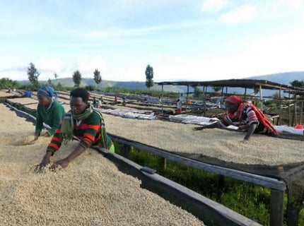 RWANDA - Karisimbi Mountain Coffee  (150g/1P)